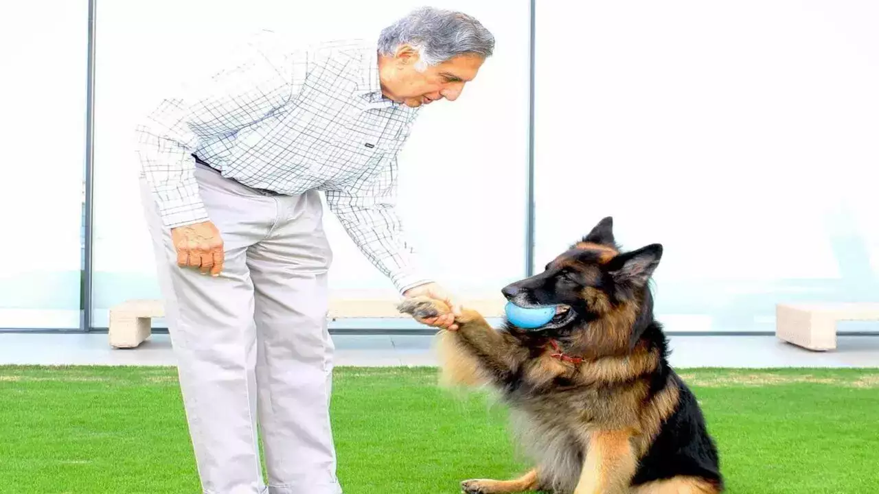 Ratan Tata loves Street Dogs